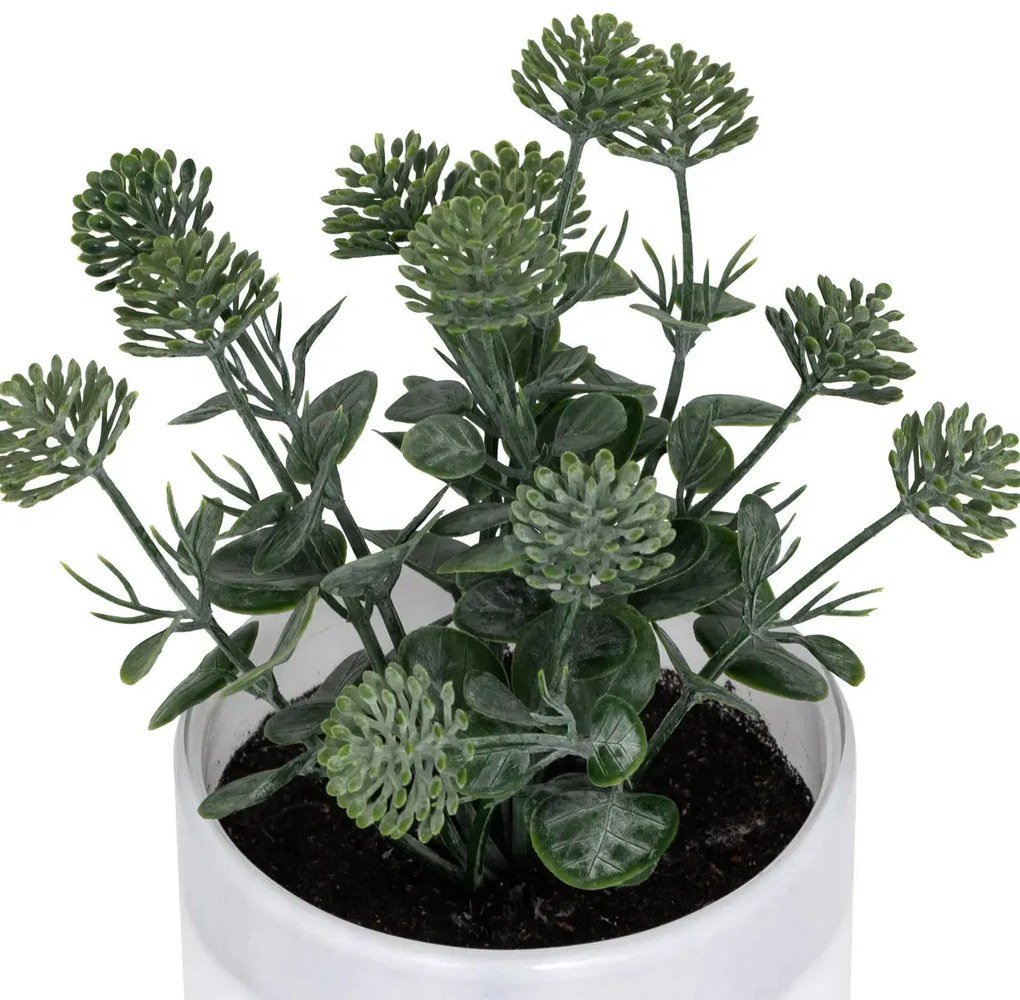 Изкуствено растение atmosphera Tayli Succulent, 18 cm, Различни видове