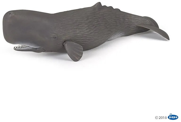 Papo - Фигурка Sperm Whale 56036