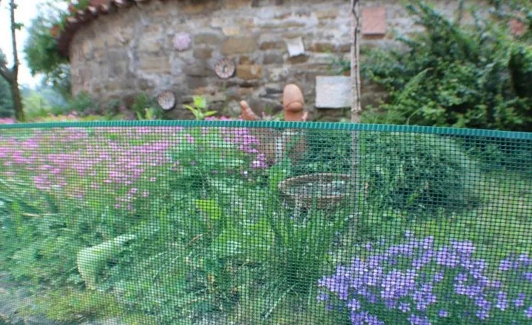 Nortene - Пластмасова ограда Minisquare 1 х 5 метра - зелен