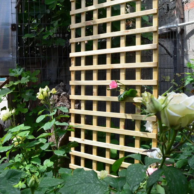 Ограда за катерене 6x6-90 x 180 cm