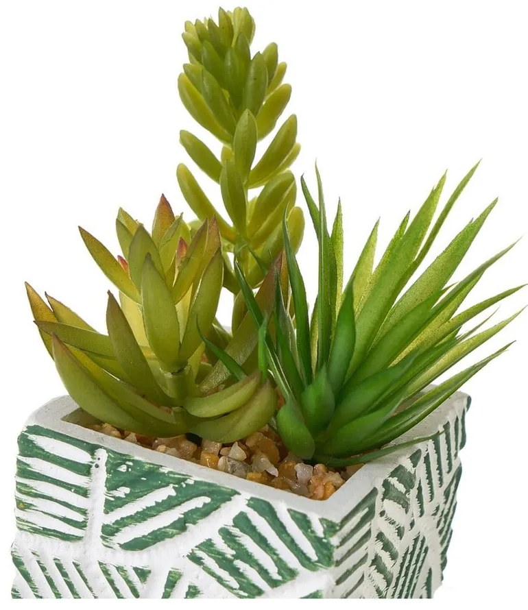 Изкуствени растения в комплект от 3 броя (височина 12 см) Cactus - Casa Selección