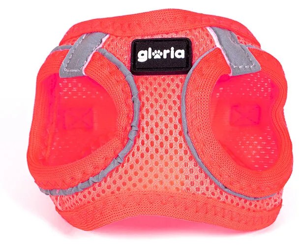 Каишка за Куче Gloria Trek Star 27-28 cm 31-34,6 cm Розов XS