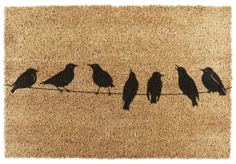 Изтривалка от кокосови влакна 40x60 cm Birds On a Wire – Artsy Doormats