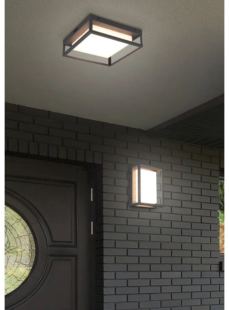 LED външна стенна лампа (височина 10 см) Witham - Trio