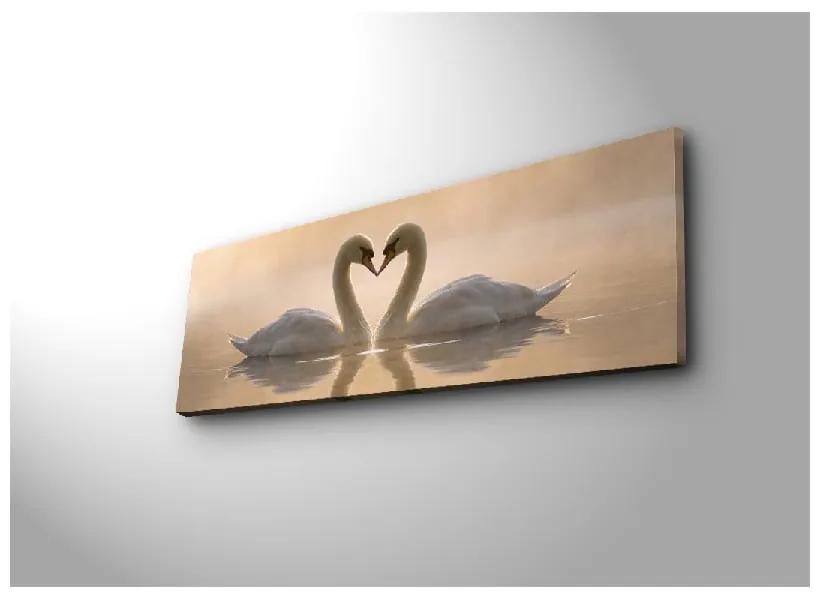 Изображението върху платно Swan Love, 90 x 30 cm - Wallity