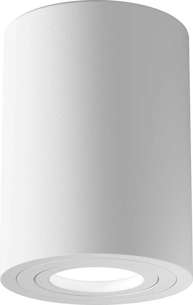 Maytoni Плафониера - C016CL-01W