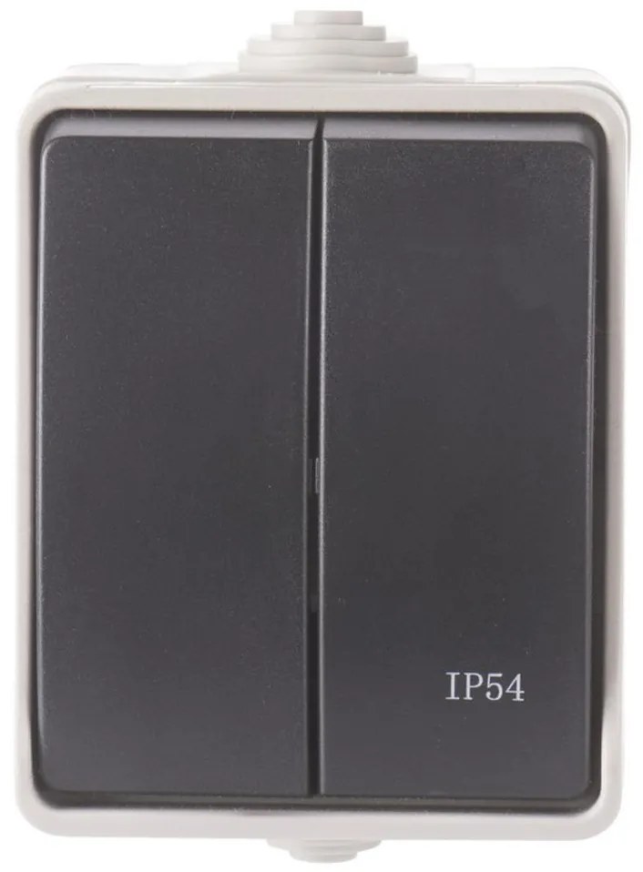 Домашен сериен превключвател 250V / 10A IP54