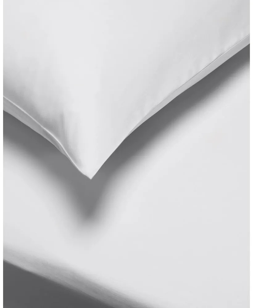 Комплект от 2 сиви калъфки за възглавници от памучен сатен Standard, 50 x 75 cm Cotton Sateen - Bianca