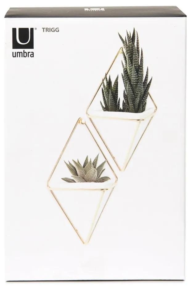 Комплект от 2 бели керамични висящи саксии със златист дизайн Trigg - Umbra