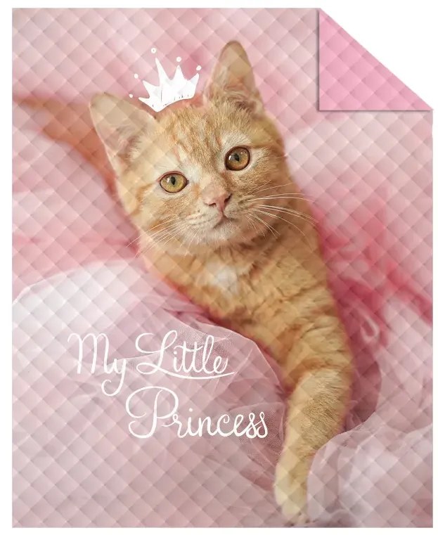 Детска покривка за легло MY LITTLE PRINCESS Ширина: 170 см | Дължина: 210 см