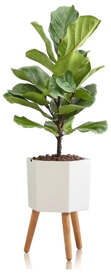 Бяла самонапояваща се саксия , ø 22,8 cm Calla - Tomasucci