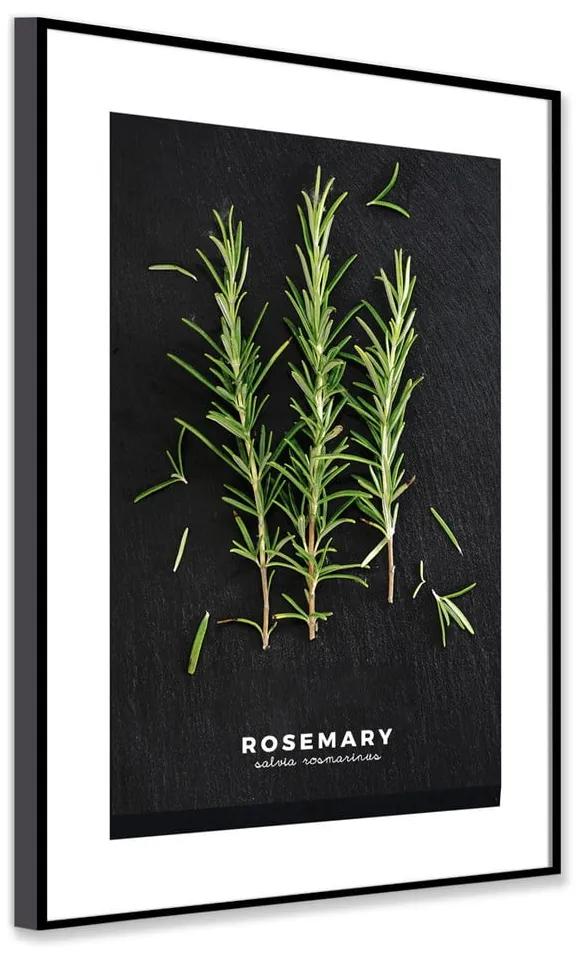 Плакат в рамка 50x70 cm Rosemary - Styler