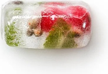 Форма за лед с капак Lekue 1009043, 23х11.8х3.2 см, 14 правоъгълни кубчета, -40 +60°C, Червен