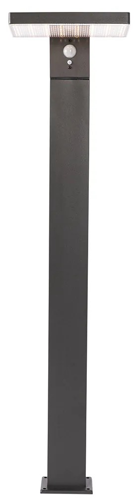 Външна стойка за лампа тъмно сива 80 см с LED и димируема светлина на слънчева енергия - Sunnie