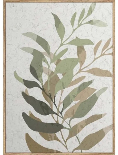 PLANTS КАРТИНА 50/70 СМ MONEE 48258020585
