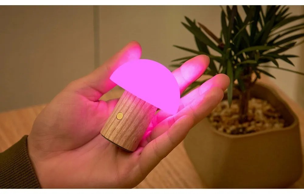 LED затъмняваща се настолна лампа от масивен ясен в естествен цвят (височина 7 cm) Alice – Gingko