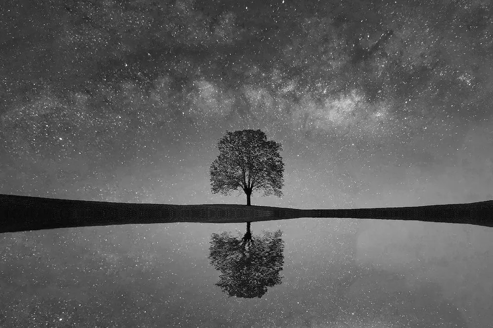 Фототапет – Черно-бяло звездно небе над самотно дърво