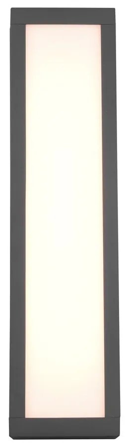 LED външна стенна лампа (височина 36 см) Fuerte - Trio