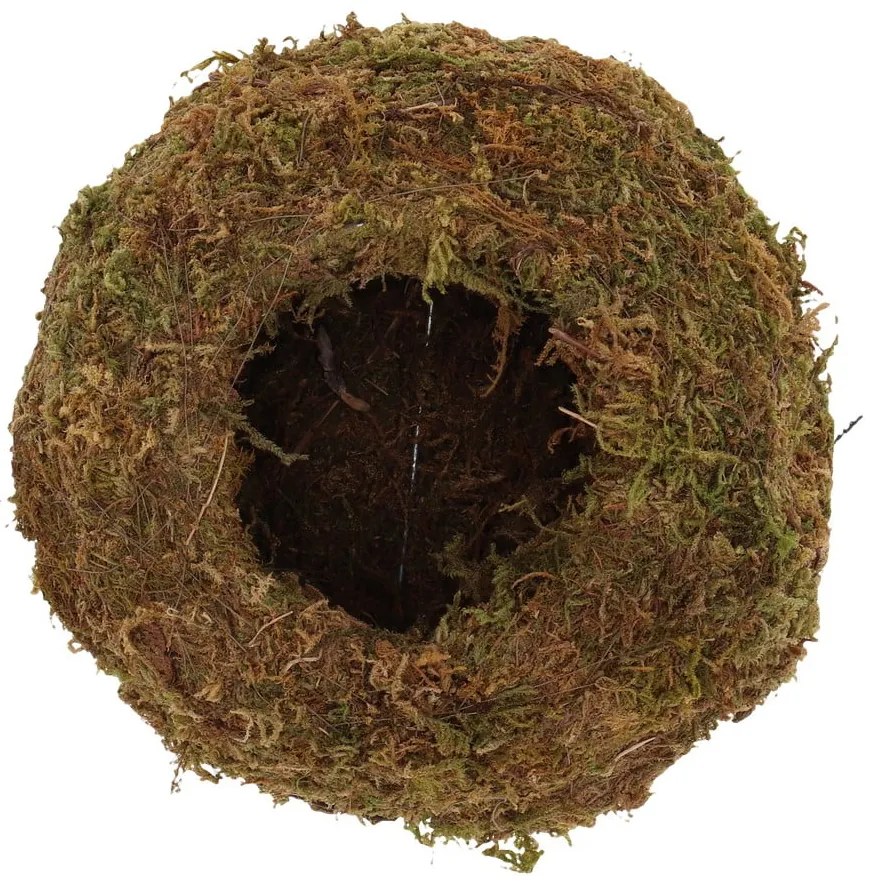 Саксия за цветя ø 14,5 cm Kokedama – Esschert Design