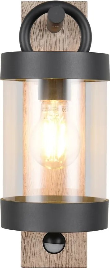 Стенно външно осветително тяло (височина 33 cm) Sambesi – Trio