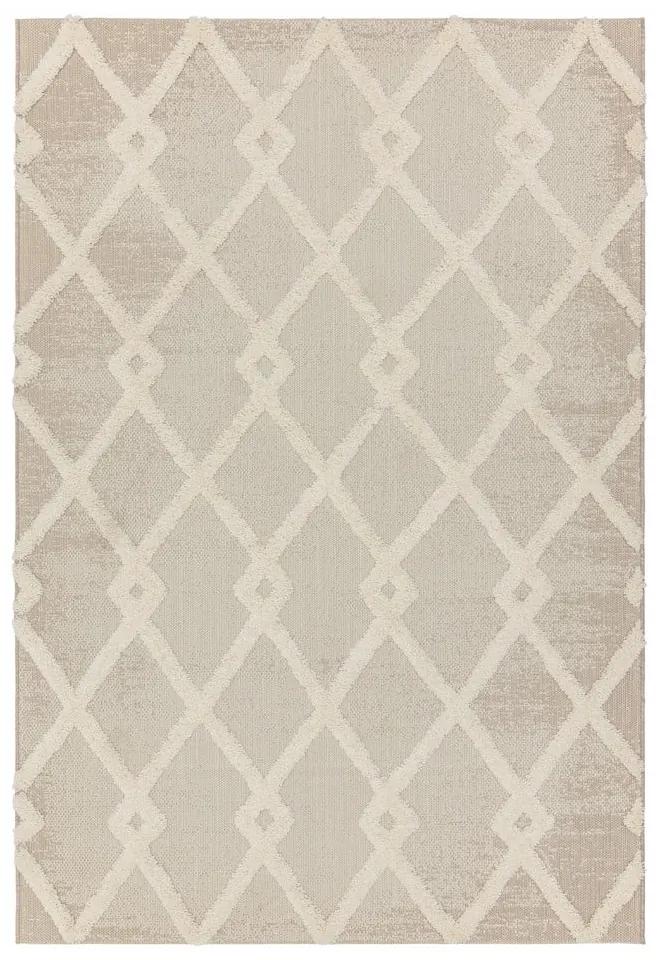 Кремав външен килим 80x150 cm Monty – Asiatic Carpets