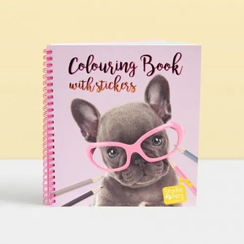 Studio Pets - Книжка за оцветяване със стикери, Санчеста