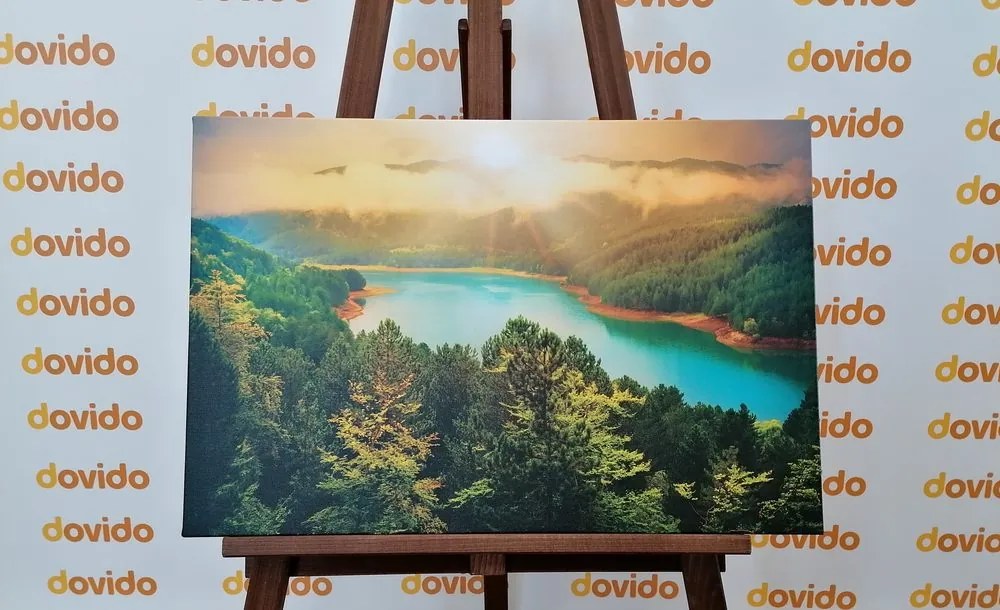 Картина на платно – Река в зелена гора