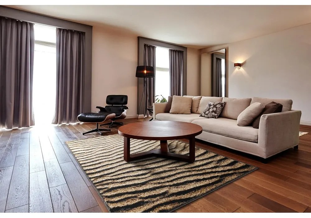 Кафяв килим 160x220 cm Avanti – FD