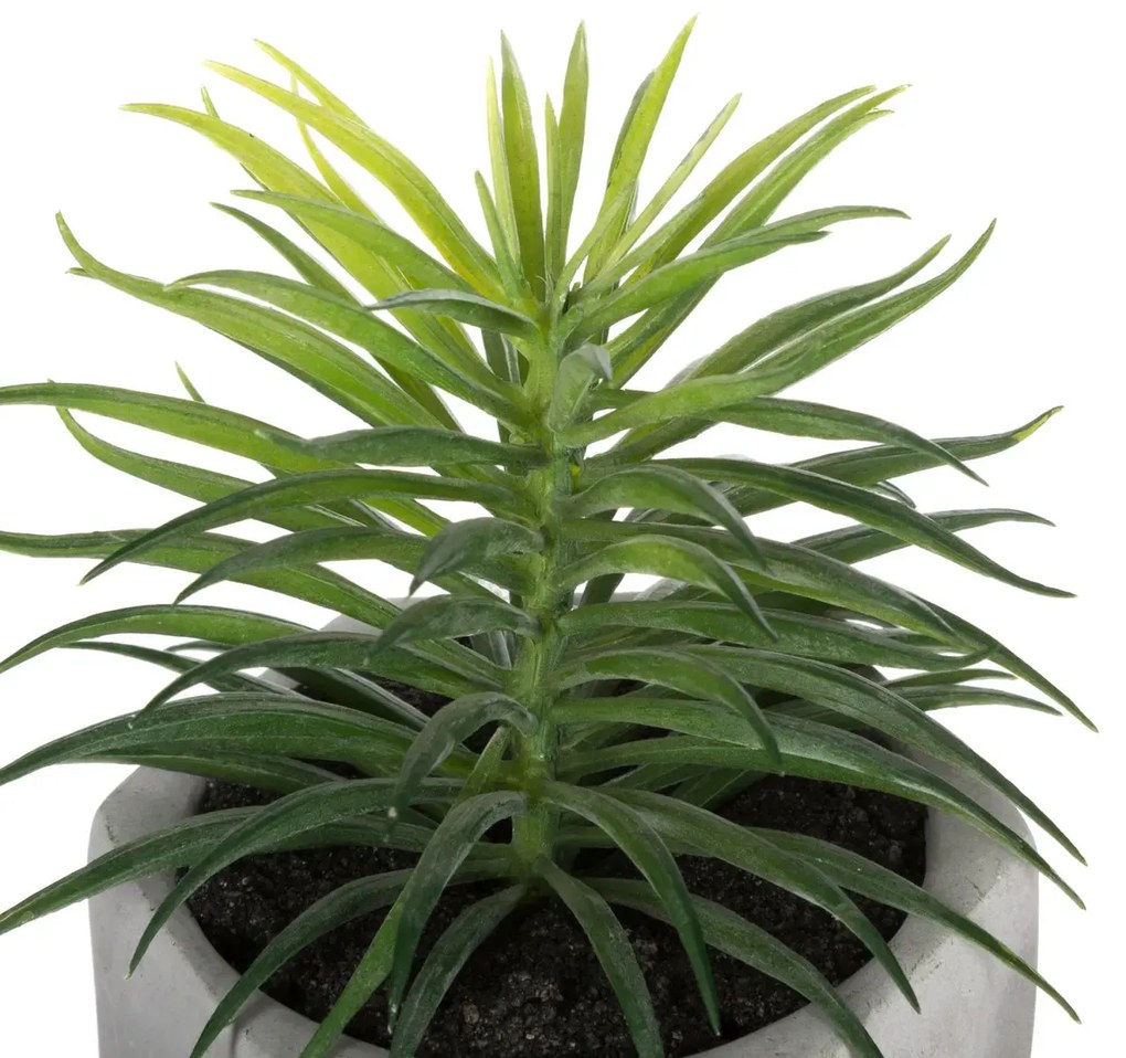 Изкуствено растение atmosphera Succulent, 14 cm, Различни видове