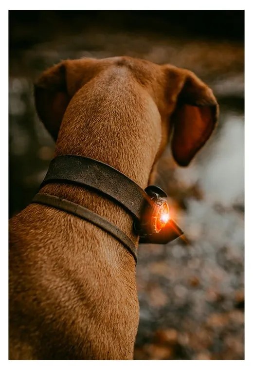 LED светлина за яка Amber - Orbiloc