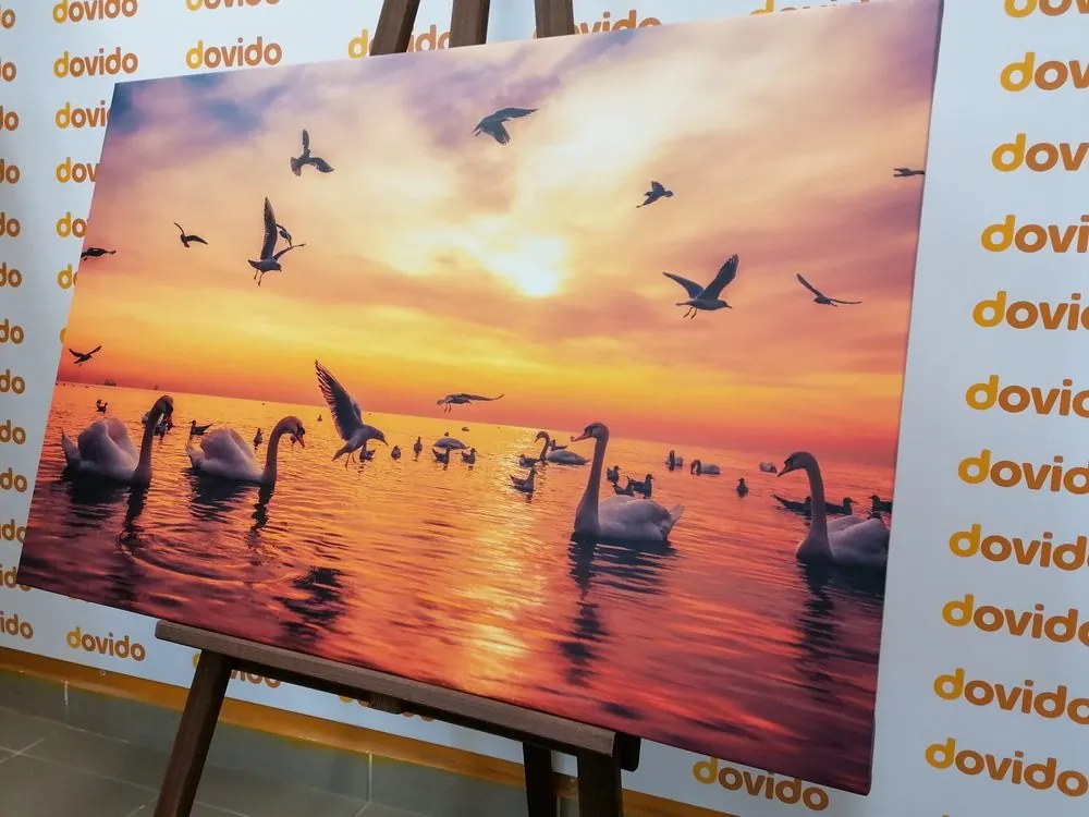 Картина на платно – Лебеди в морето