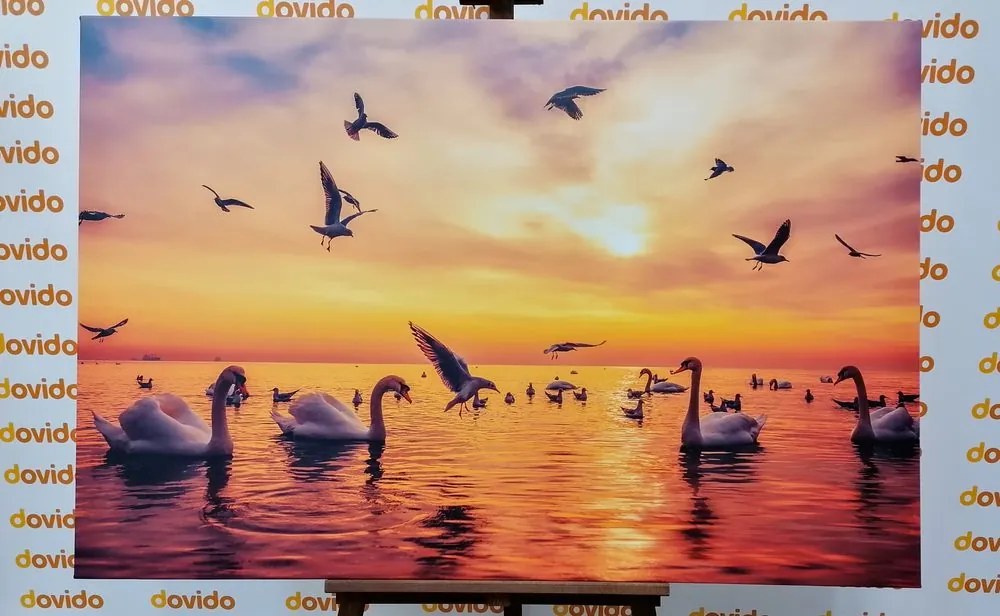 Картина на платно – Лебеди в морето
