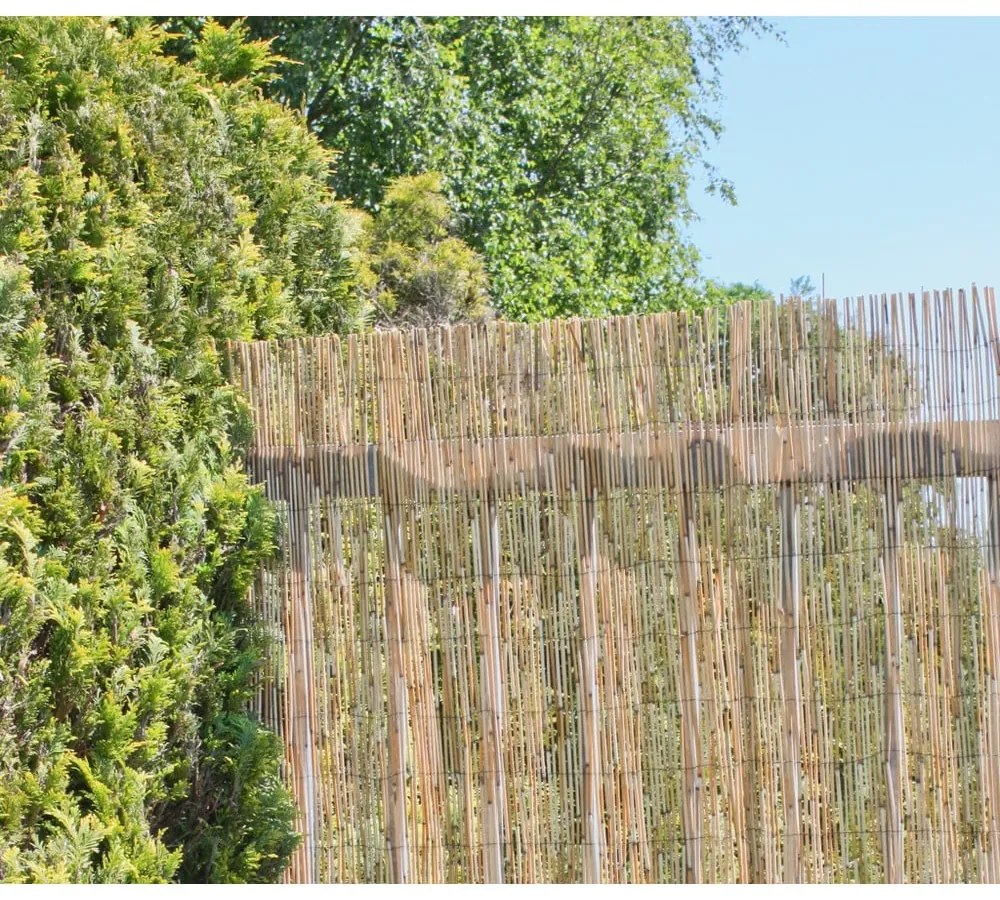 Балконски параван от плетеница в естествен цвят 300x200 cm – Garden Pleasure