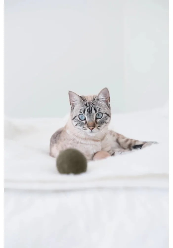 Котешки играчки в комплект 3 бр. Globo Nougat – MiaCara