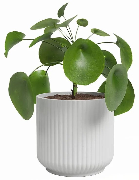 Керамична саксия за цветя ø 19 cm Luna – Artevasi