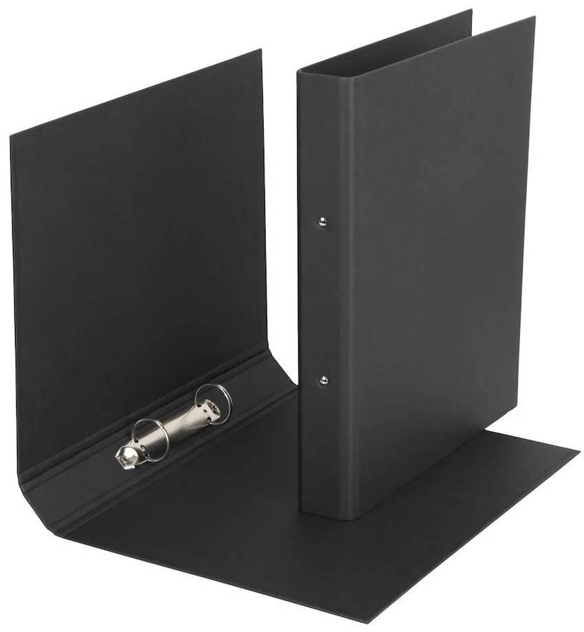 Картонен органайзер за документи Ringo - Bigso Box of Sweden