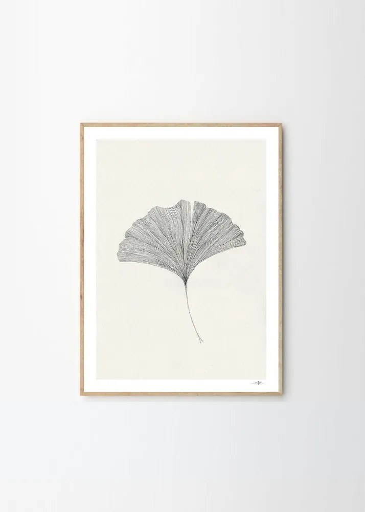 Постер 50x70 cm Ginkgo Leaf – Ana Frois – The Poster Club