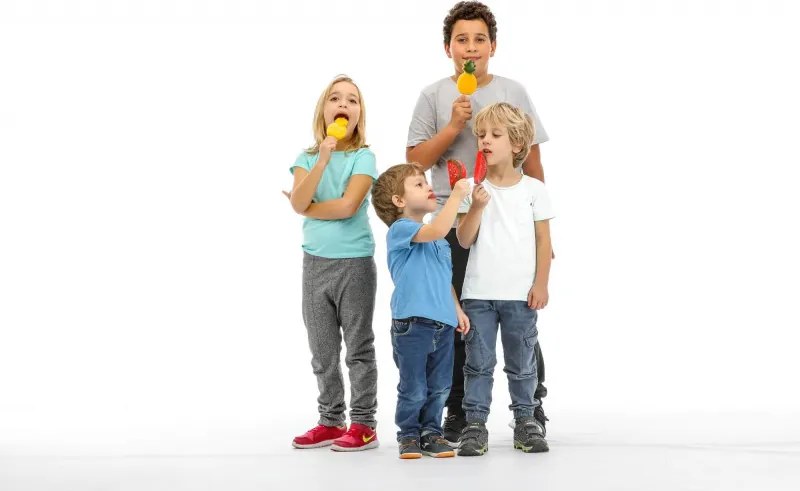 Комплект от 4 форми за сладолед на клечка Lekue 1010239, 340 мл, -20°C / +100°C, Платинен силикон, Многоцветен