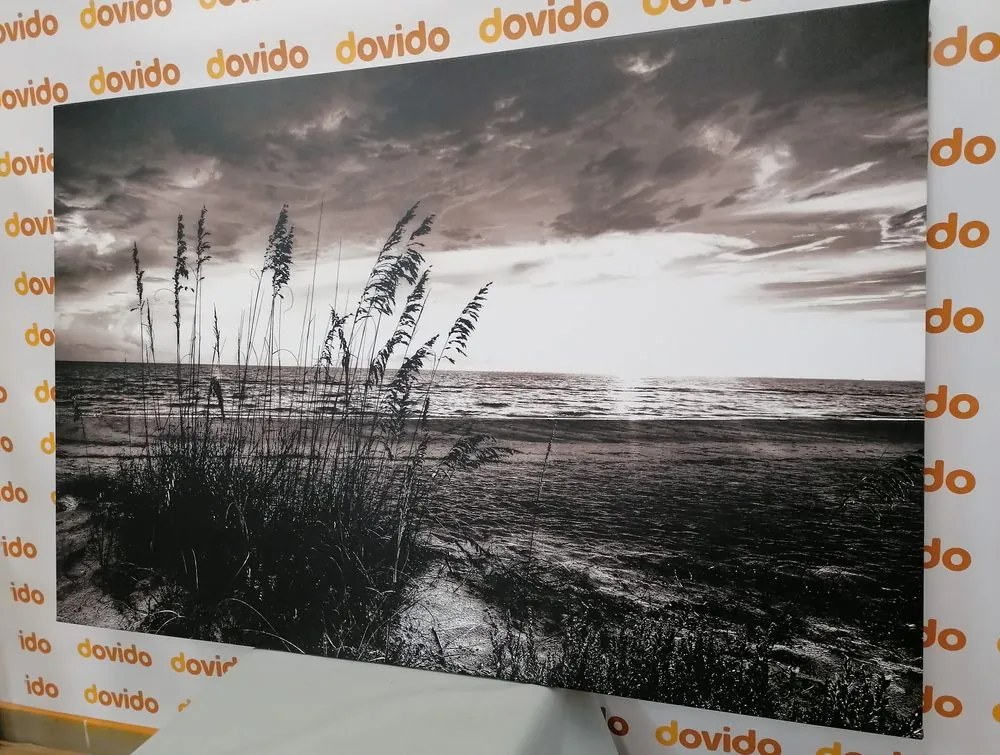 Картина на платно – Залез на плажа в черно-бяло изпълнение