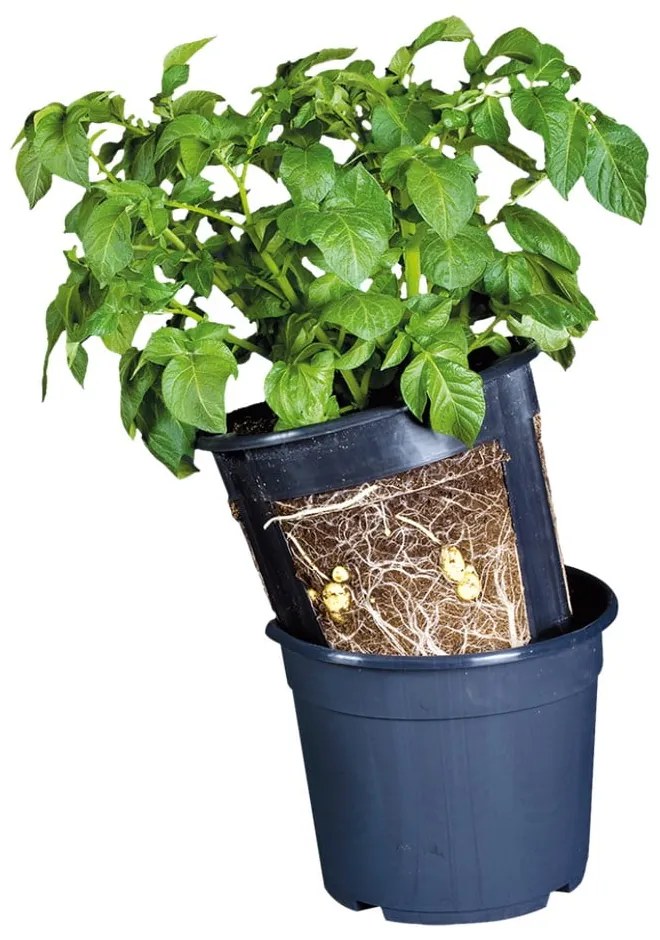 Саксия за картофи , ø 30,2 cm - Esschert Design