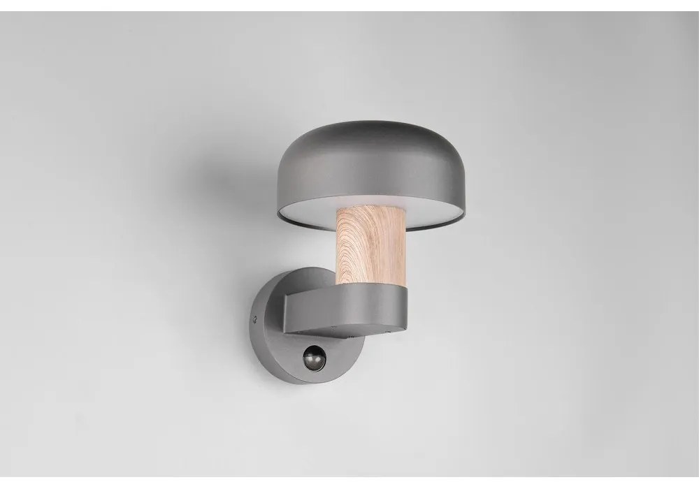 Стенно външно осветително тяло (височина 24,5 cm) Fraser – Trio