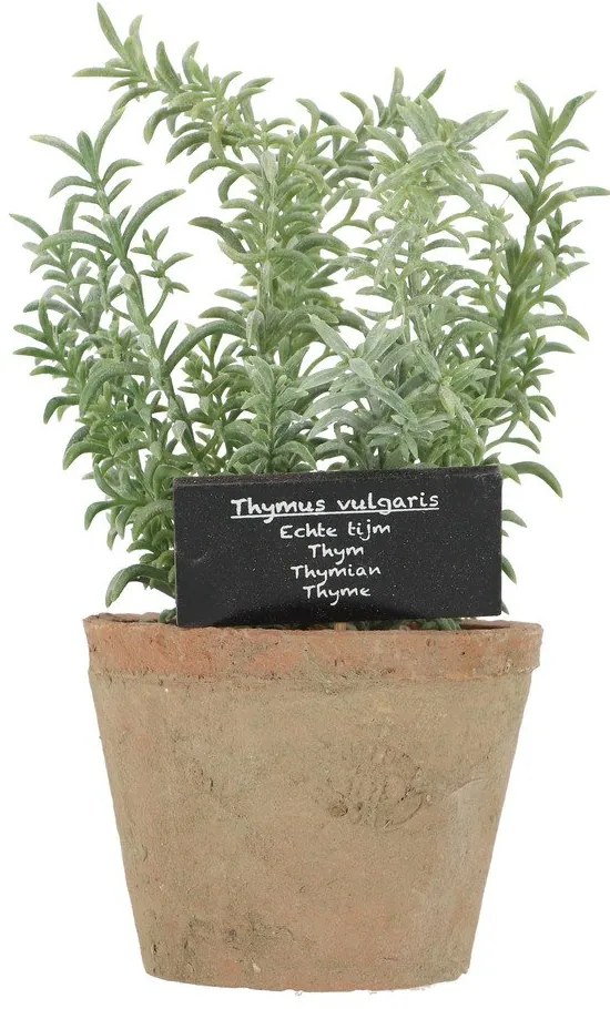 Изкуствено растение (височина 21,5 cm) Thyme – Esschert Design