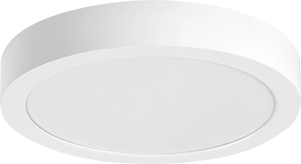 Rabalux Shaun2 Вградени и повърхностно монтирани лампи IP20 LED 24W 4000K 71194