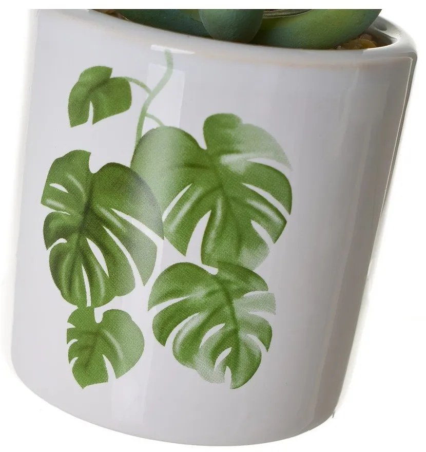 Изкуствени цветя в комплект от 4 Cactus - Casa Selección