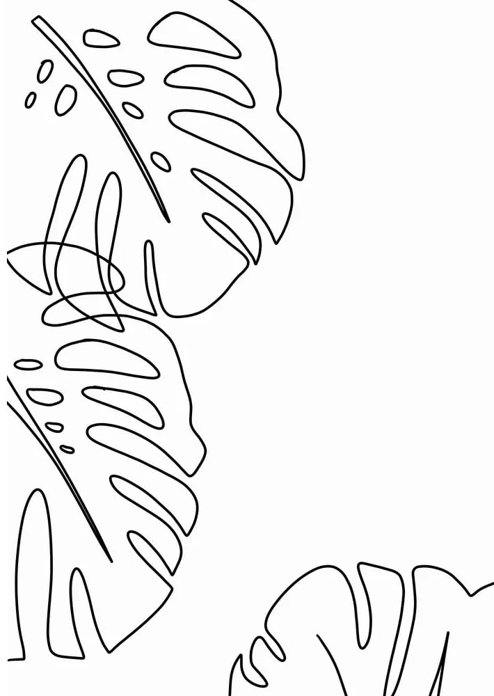 Плакат 29x41,4 cm Monstera - Veronika Boulová