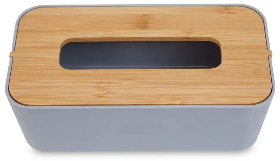 Пластмасова кутия за носни кърпички Canyon - Premier Housewares