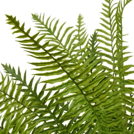 Изкуствено растение atmosphera Rose Paprat, 80 cm, Керамика