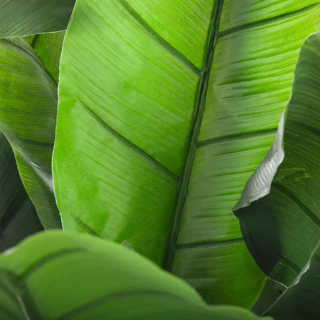 Изкуствено растение atmosphera Banana Tree, 170 cm