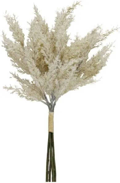 Декоративни цветя Персийска-Бежово-кафяво (12 τεμάχια)