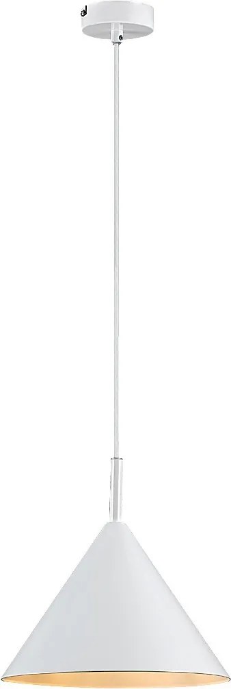 Rabalux Jarod Висящи осветителни тела IP20 E27 1x MAX 40W K 72008